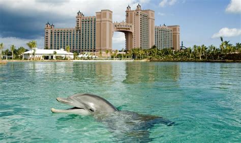 Atlantis Paradise Island Modern Vacations