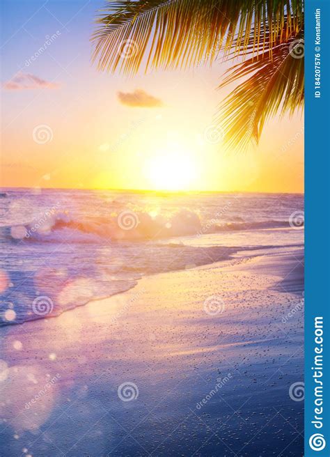 Art Beautiful Landscape Of Paradise Tropical Island Beach Sunrise Shot