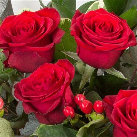 Two Dozen Long Stemmed Roses Flowers By Lesley Strachan Florist Lana