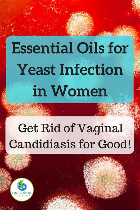 7 Essential Oils For Yeast Infection In Women Yeast Infection