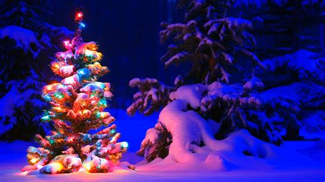 Download Lighted Christmas Tree In Winter Forest Hd Wallpaper