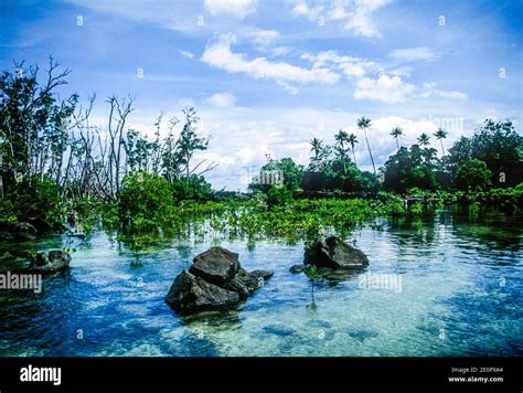 Lagoon At Nan Madol Ceremonial Centre Of Eastern Micronesia Unesco