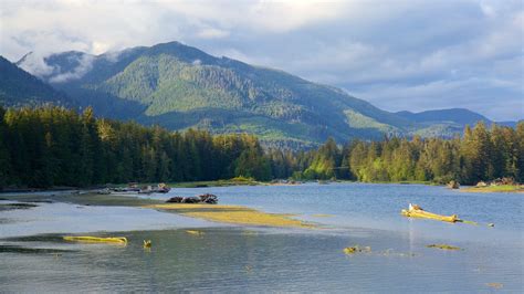 Port Renfrew Holiday Accommodation Cottages And More Stayz