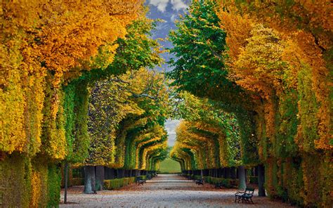 Schonbrunn Palace Gardens In Vienna Austria
