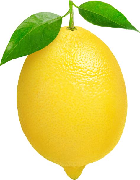 Download High Quality Lemon Clipart Transparent Transparent Png Images