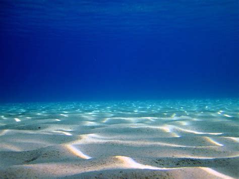Underwater Total Tranquility Sun Dappled Sand Clear