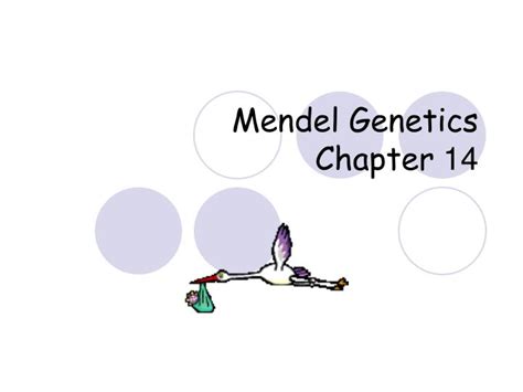 Ppt Mendel Genetics Chapter Powerpoint Presentation Sexiezpix Web Porn
