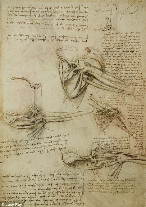 The Miraculous Dr Da Vinci An Artistic Genius Yes But A New