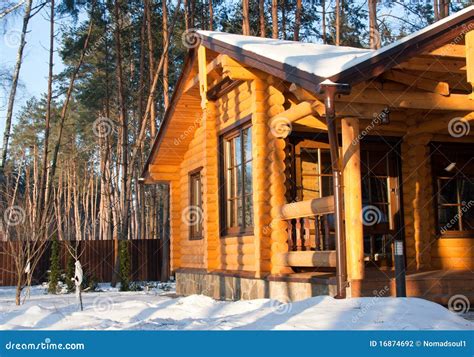 Wooden House At Pine Forest Stock Photo Image Of Clear Blue 16874692