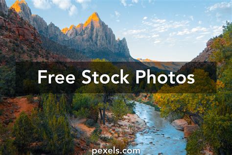 10000 Best Nature Images · 100 Free Download · Pexels Stock Photos