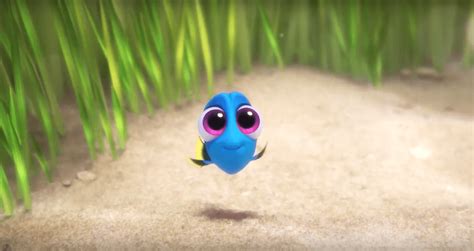 Video This Clip Of Baby Dory From Disney Pixars Finding Dory Will