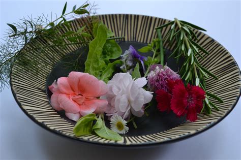 30 Days Wild Days 25 27 Wild Flowers Climb A Tree Edible Flowers