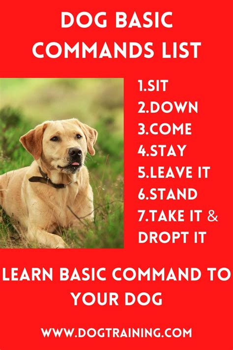 Dog Basic Commands List Learn How To Teach Your Dog In 2021 Dog