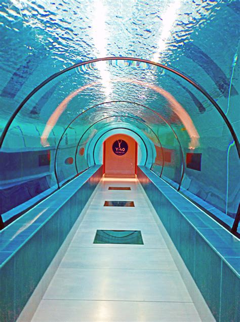 An accumulation of standing liquid; World's deepest swimming pool is a terrifying 131-foot pit ...