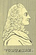 Voltaire Drawing by Print Collector - Fine Art America