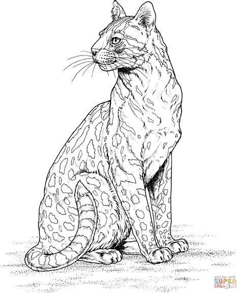 Leopard Coloring Page Free Printable Coloring Pages