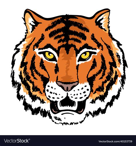 Tiger Head Face Sketch Royalty Free Vector Image