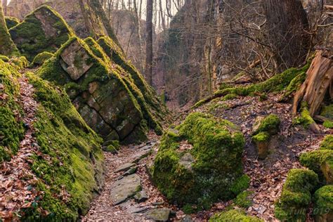 La région mullerthal, c'est avant tout un biotope exceptionnel marqué par des formations rocheuses assez surprenantes. Tweedaagse trektocht over route 2 van de Mullerthal trail ...