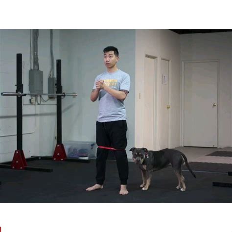 James Lu Rmt 🇨🇦 To On Instagram “🚨 3 Banded Squat Glute Activation