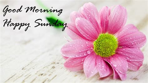 Good Morning Sunday Wallpapers Wallpaper Cave