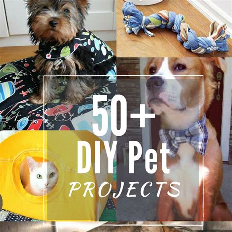 50 Diy Pet Projects The Sewing Loft