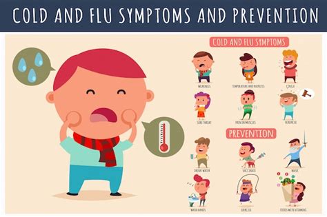 Síntomas Y Prevención De Resfriado Y Gripe Infografía De Dibujos
