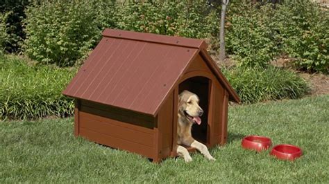 30 Best Outdoor Dog Kennels 2022 Reviews® Updated Guide Dog Kennel