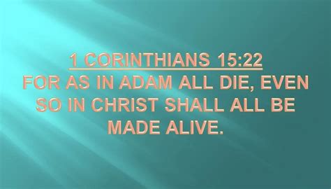 1 Corinthians 1522 Alive In Christ