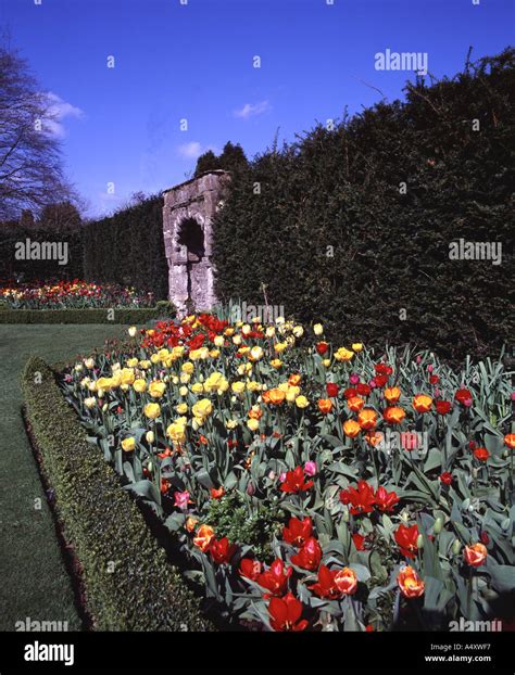 Abbey House Garden At Malmesbury Stock Photo Alamy