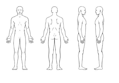 body diagram for professional massage chart front back left and right views by simbe body