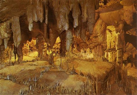 Пещера Альтамира, Испания — подробная информация с фото