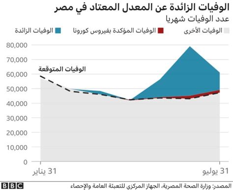 فيروس كورونا هل تعكس إحصاءات الوفيات في مصر الواقع؟ Bbc News عربي