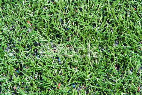 Artificial Turf Stock Photo Royalty Free Freeimages