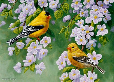 Beautiful Paintings Of Birds