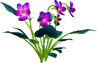 Download flower gif animated images for web or other uses. Flower Gif Animated - ClipArt Best