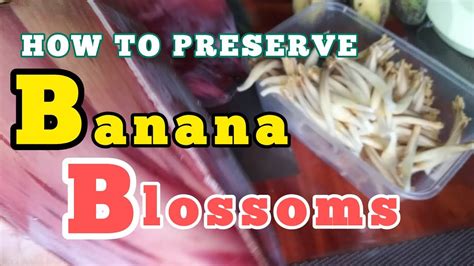 How To Preserve Banana Blossoms Youtube
