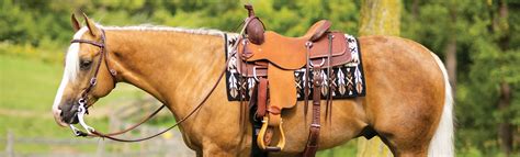 Choosing The Right Western Saddle A Comprehensive Guide Schneiders