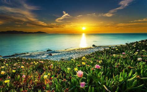 Wallpaper Sunlight Landscape Colorful Sunset Sea
