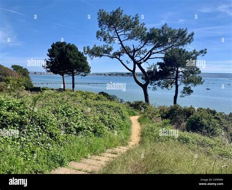 Evening Hill Poole Hi Res Stock Photography And Images Alamy