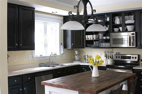 As one of the monochromatic or neutral colours, black is considered timeless. Black Kitchen Cabinets Pictures - Home Furniture Design