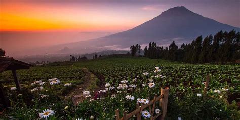 Di jawa tengah, obyek wisata apa saja ada, bahkan pemandangan bukit serta gunung yang menawan hati pun sangat menarik. 99 Tempat Wisata di Jawa Tengah Paling Hits 2020 Beserta Tarif Masuk