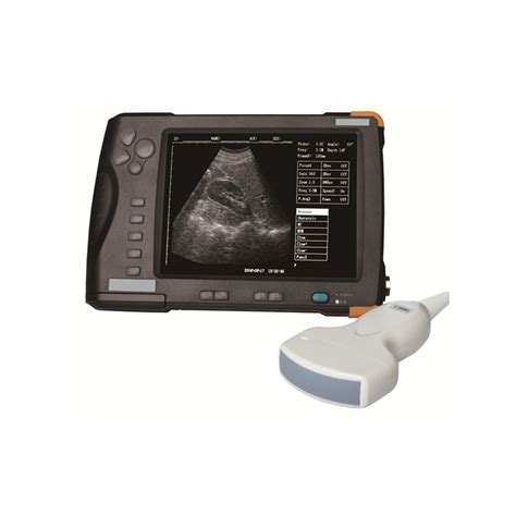 China High Quality Mini Veterinary Ultrasound To Cattle Portable Pig