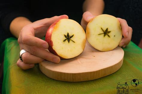 La Manzana Que Quería Ser Estrella Tu Voz AmazÓnica Antisuyo Shimi