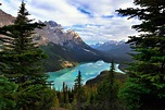 plants, Landscape, Water, Lake, Forest, Canada, Banff, National, Park ...