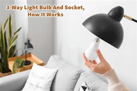 3 Way Light Bulb And Socket How It Works Mondoro
