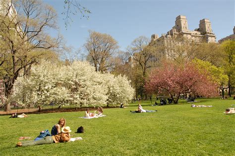 Central Park In New York City Best Picnic Spots Central Park Picnic