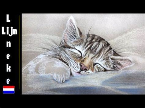 Elke dag worden duizenden nieuwe afbeeldingen van hoge kwaliteit toegevoegd. Hoe teken je een Kitten / dieren tekenen / # 50 - YouTube | Tekenpotlood, Dieren tekenen ...