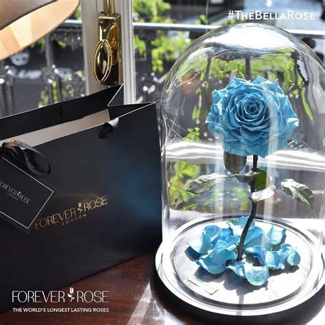 Real “beauty And The Beast” Roses Exist And Theyll Last For 3 Years