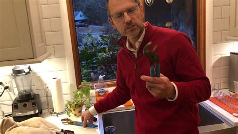 We did not find results for: Fixing a Loose Kitchen Faucet base - YouTube