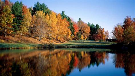 Colorful Autumn Forest Trees With Reflection On Lake Hd